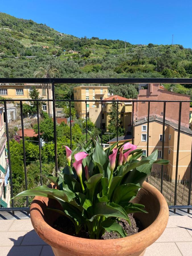 דירות מונטרוסו אל מארה La Terrazza Di Monterosso מראה חיצוני תמונה