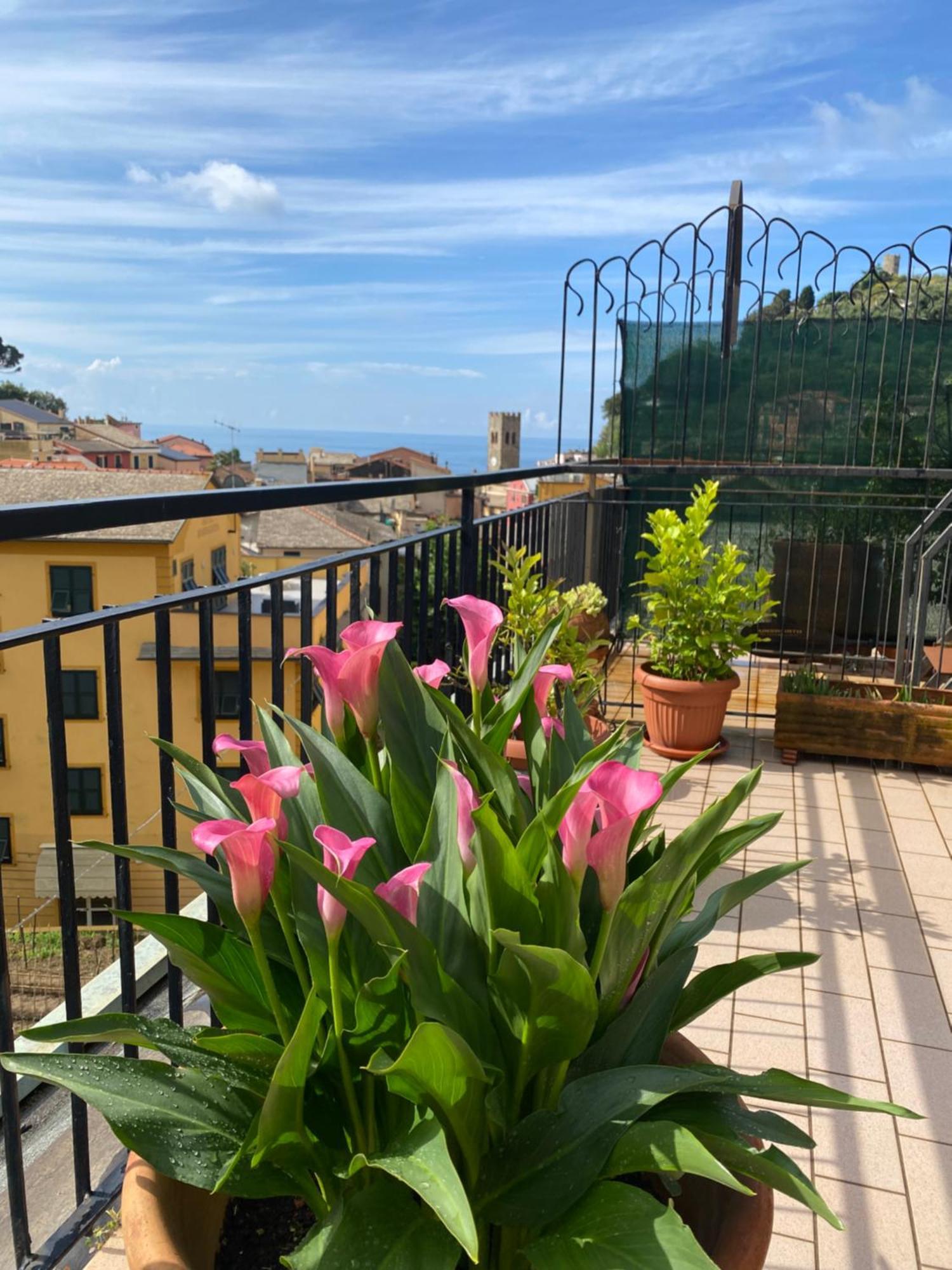 דירות מונטרוסו אל מארה La Terrazza Di Monterosso מראה חיצוני תמונה