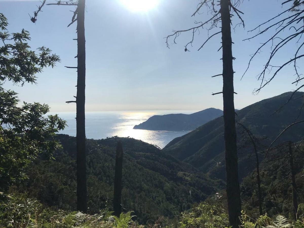 דירות מונטרוסו אל מארה La Terrazza Di Monterosso מראה חיצוני תמונה