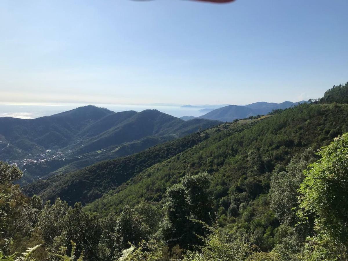 דירות מונטרוסו אל מארה La Terrazza Di Monterosso מראה חיצוני תמונה